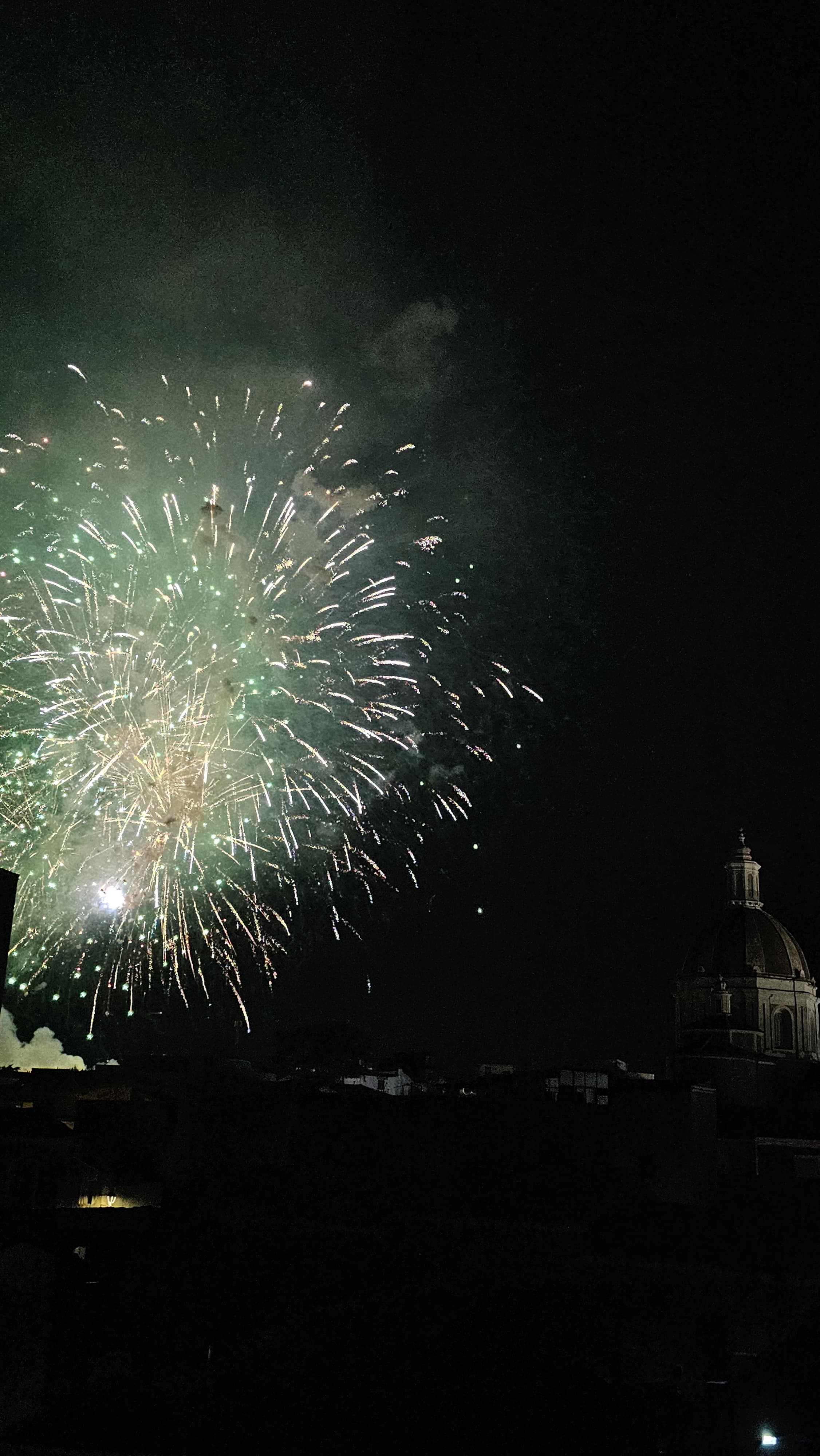 Festa di Sant'Antonio Abate - IMG-20240826-WA0006